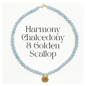 Harmony + Golden Scallop
