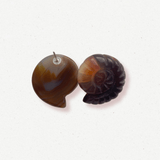 Hand-carved Snail Earring Brown Agate